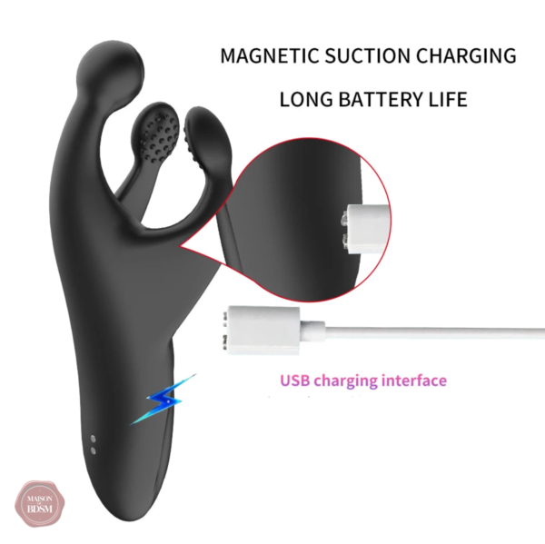 Stimulation testiculaire avec 3 tiges en silicone