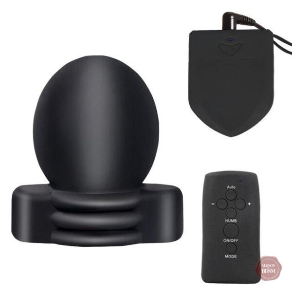 Outil de stimulation testiculaire avec contrôle éloigné