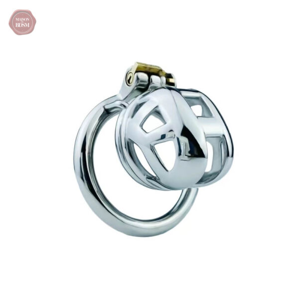 Cage de chasteté Micro, pour une expérience unique