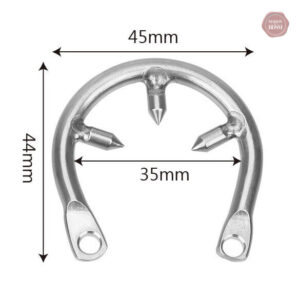 Accessoire de fixation avec pointes pour divers usages