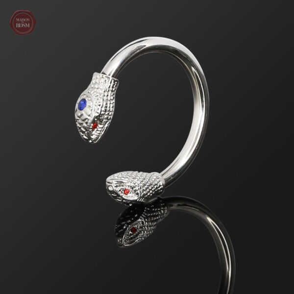 Stimulation érotique avec anneau de gland serpent