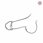 Dispositif de plaisir masculin avec balles