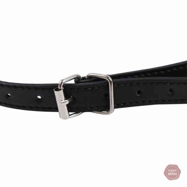 Accessoire BDSM pour des expériences intenses et variées