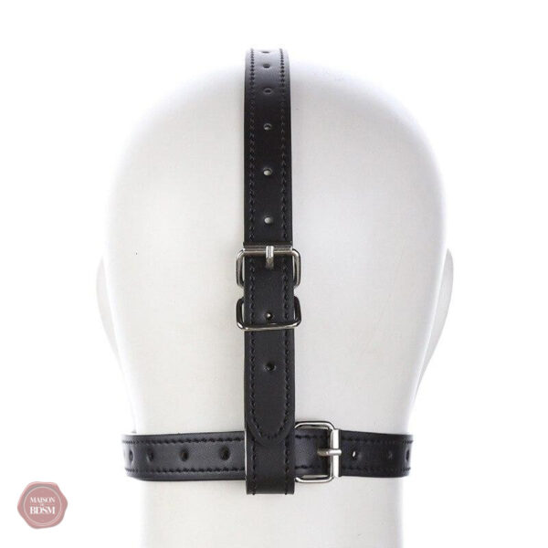 Accessoire de soumission : bâillon harnais