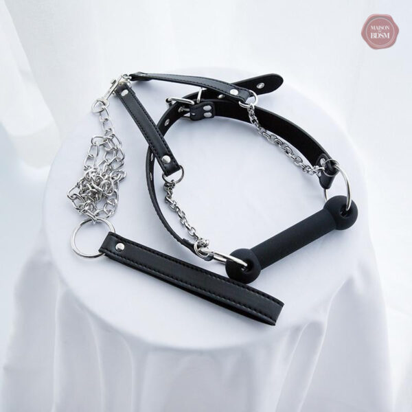 Laisse attachée à bâillon boule pour une expérience unique