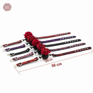 Accessoire de bondage : Bâillon boule pour jeux érotiques