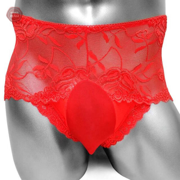 Pochette bombée sur boxer Sissy en dentelle