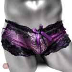 Boxers Sissy à l'aspect brillant et chic