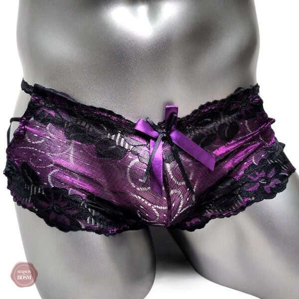 Boxers Sissy à l'aspect brillant et chic