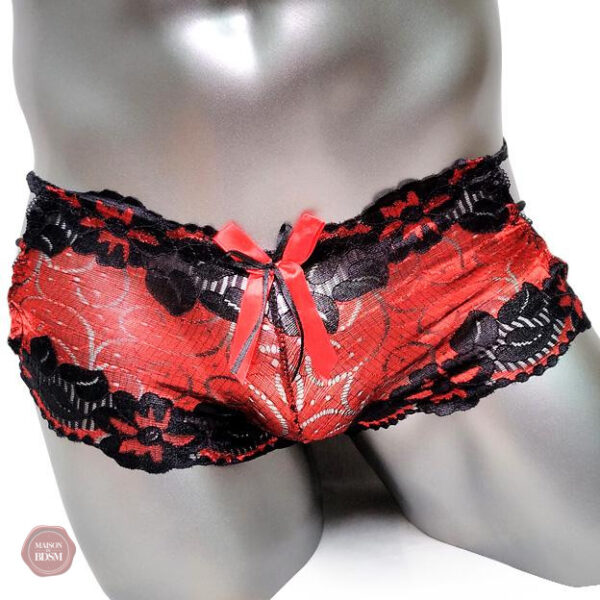Boxers Sissy brillants, parfaits pour un look audacieux