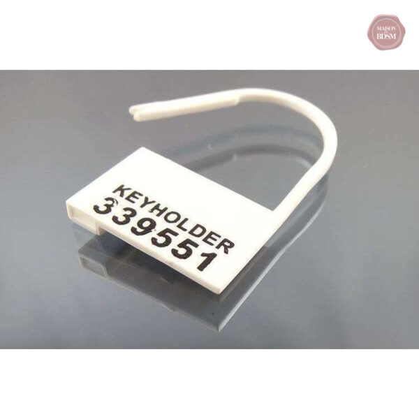 Cadenas de chasteté en plastique x100 pièces