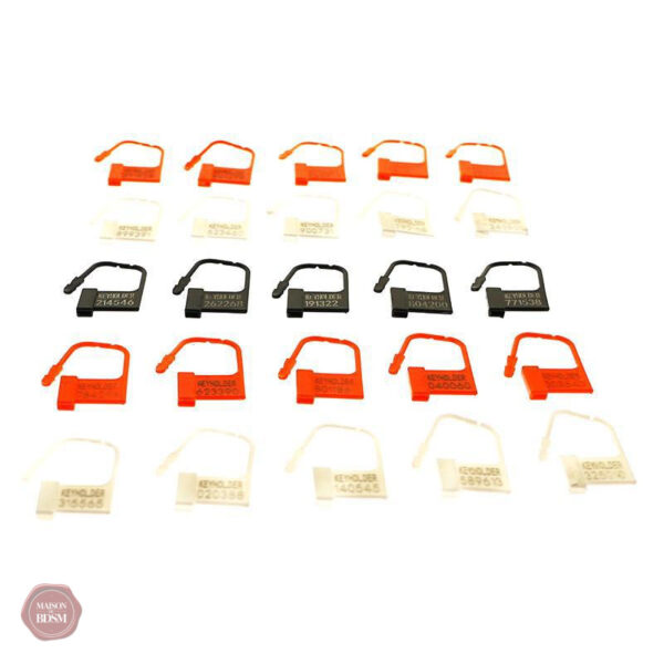 Cadenas de chasteté sécurisé et pratique