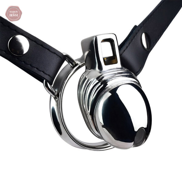 Cage de chasteté originale en forme de pénis