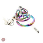 Cage à pénis arc-en-ciel avec cathéter urétral