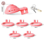 Cage de chasteté pour usage vaginal