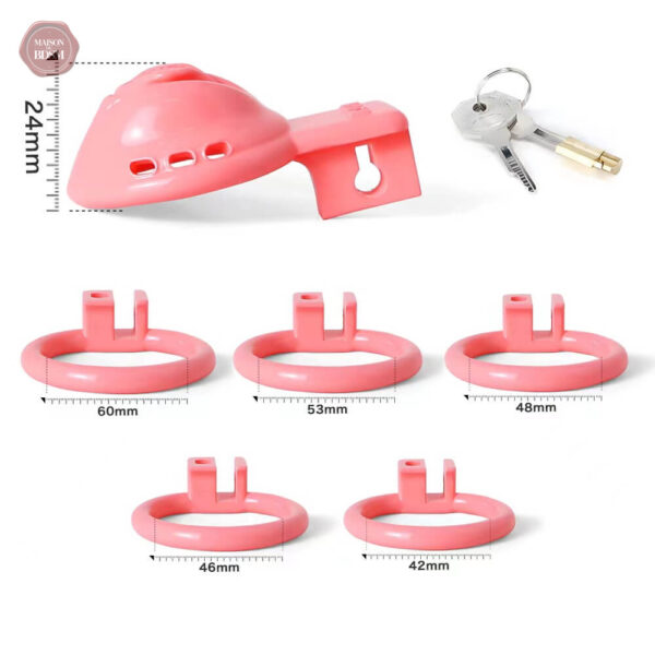 Cage de chasteté pour usage vaginal