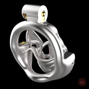 Accessoire de plaisir masculin en acier