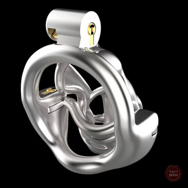 Accessoire de plaisir masculin en acier