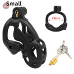 Cage à pénis avec système de double verrouillage