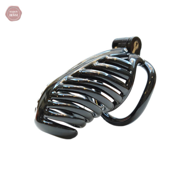 Cage de chasteté noire, esthétique et fonctionnelle