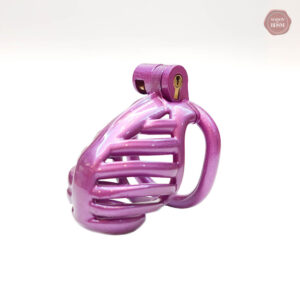 Modèle 3D de cage à pénis violet