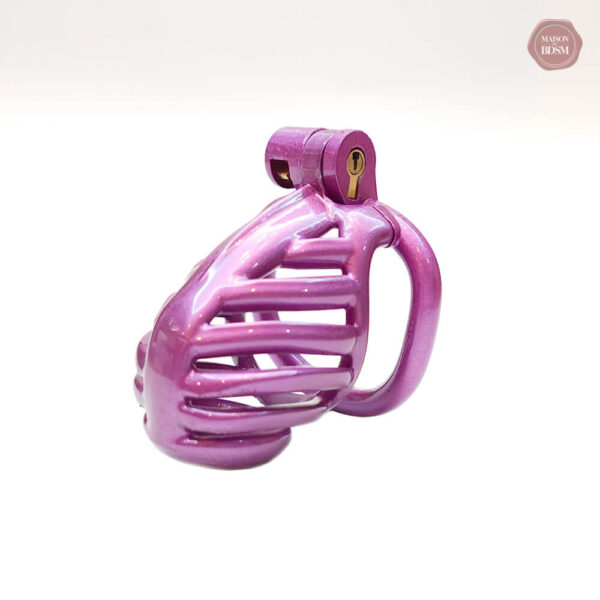 Modèle 3D de cage à pénis violet