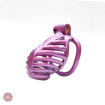 Accessoire sexy : cage de chasteté 3D