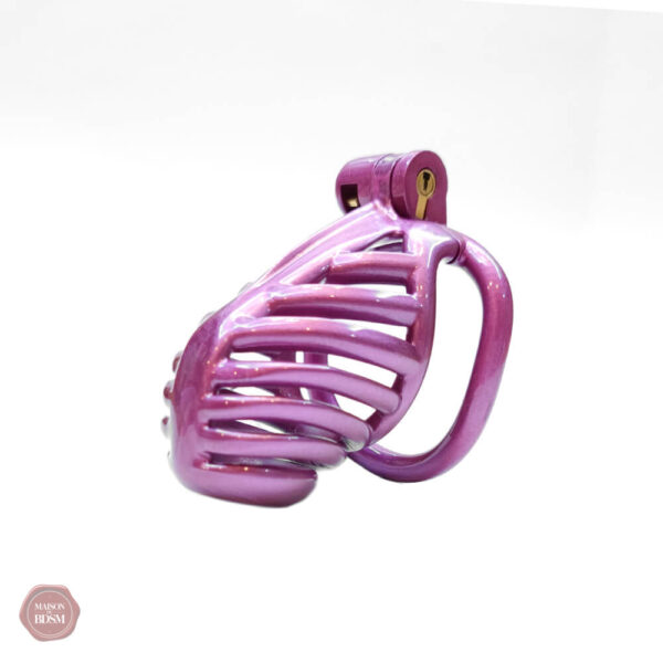 Accessoire sexy : cage de chasteté 3D
