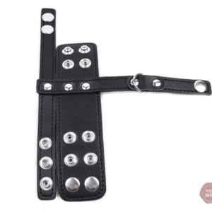 Cage de bondage Kinky avec séparateur de testicules