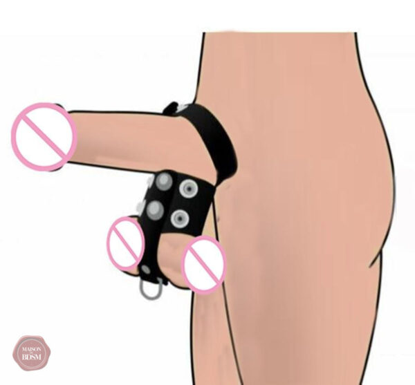 Cage de testicules pour plaisir BDSM