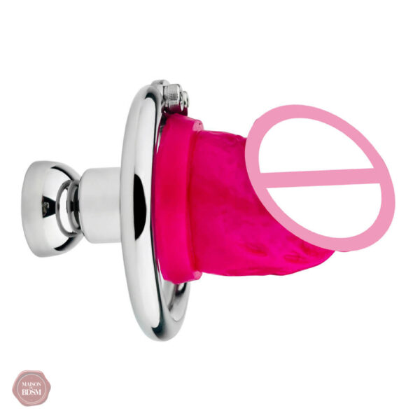 Cage de chasteté pour plaisir prolongé