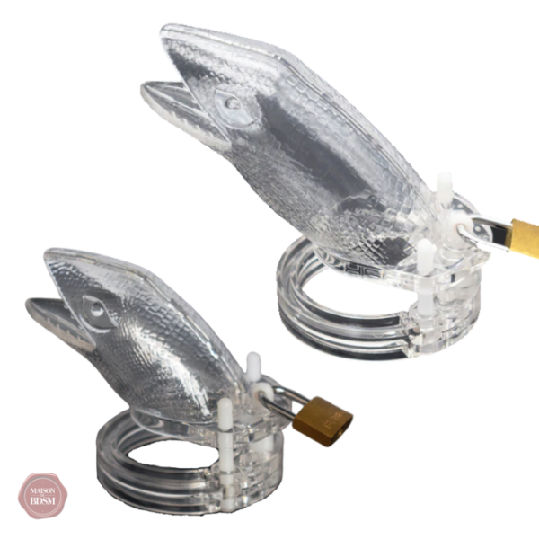 cage-de-chastete-alligator-transparent-1 Cage de chasteté plastique transparente Alligator