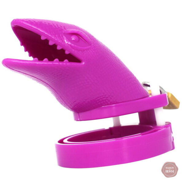 Cage de chasteté design coloré et ergonomique