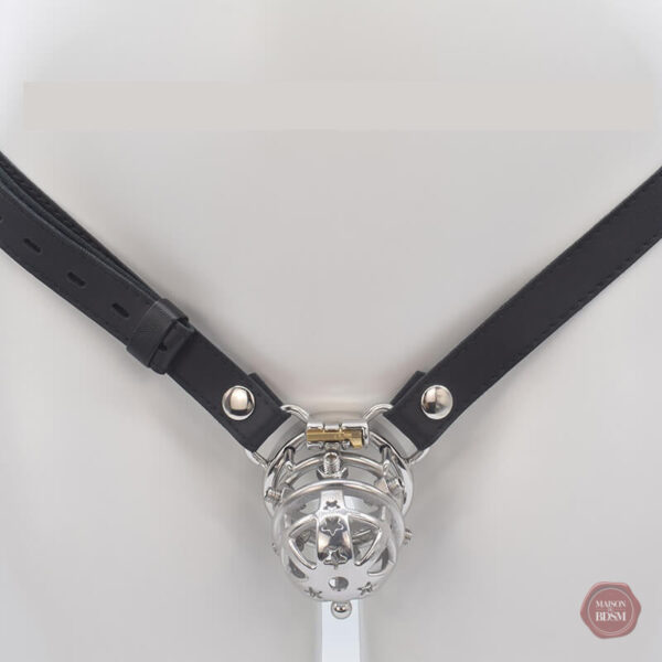 cage-de-chastete-bdsm-brutale-cc74-ceinture-1 Cage de chasteté BDSM CC74 avec ceinture