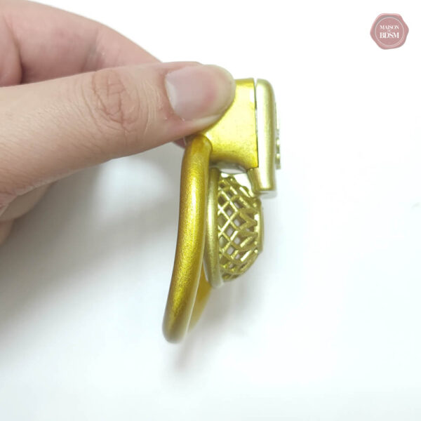 Cage de chasteté pour aventures BDSM