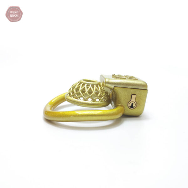 Accessoire BDSM : cage de chasteté 3D