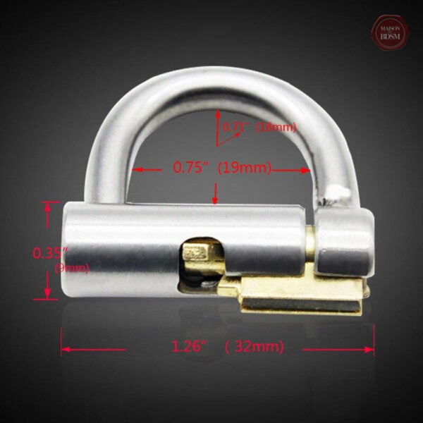 Accessoire de chasteté pour homme, design Prince-Albert
