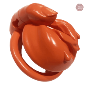 Accessoire de chasteté pour plaisir contrôlé