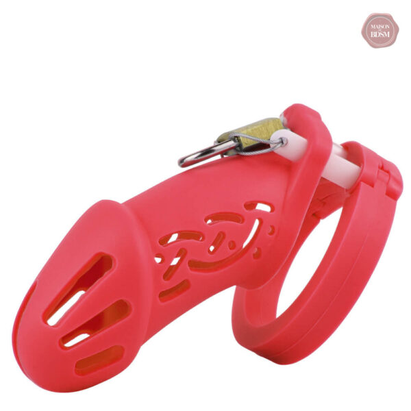 CB6000 cage de chasteté pour hommes