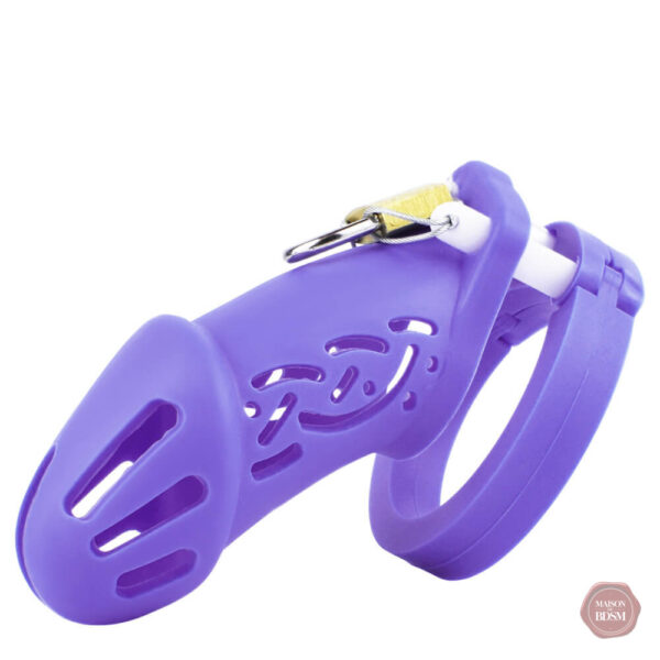 Cage de chasteté CB6000 design discret et efficace