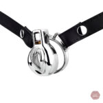 Cage de chasteté Clitty en acier