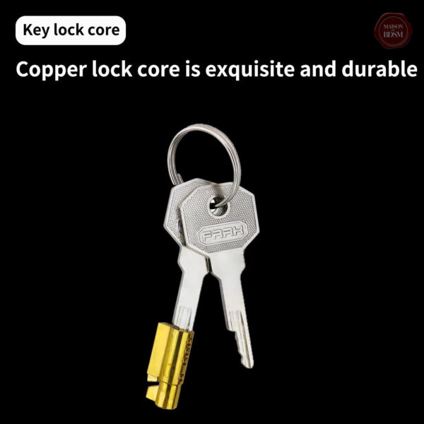 Cage de chasteté en acier pour un usage prolongé