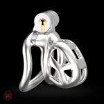 Cage de chasteté Cobra, un choix moderne et discret