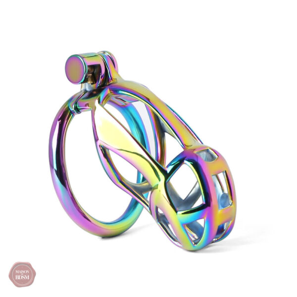 Cage de chasteté en acier inoxydable coloré