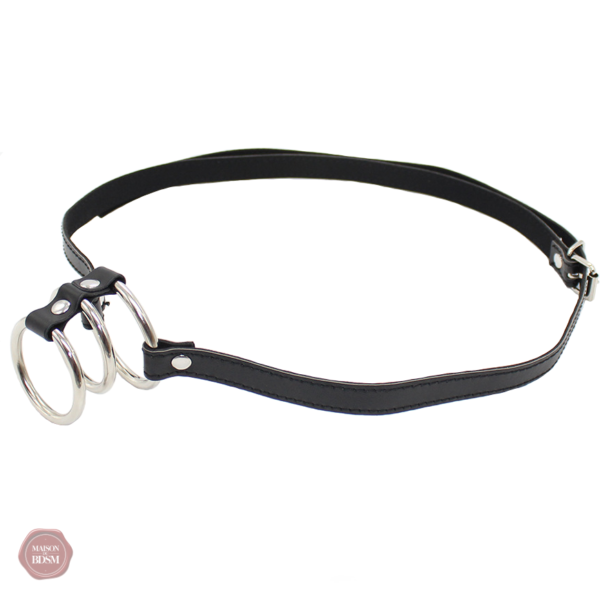 cage-de-chastete-cuir-le-collier-1 Cage de chasteté en cuir avec collier assorti