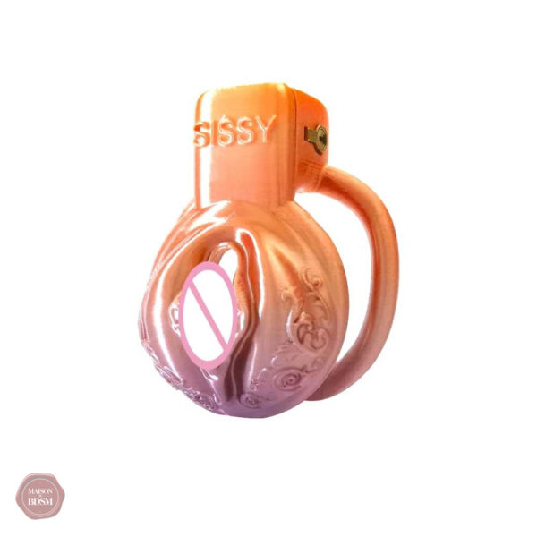 Accessoire intime de chasteté, mélange de couleurs