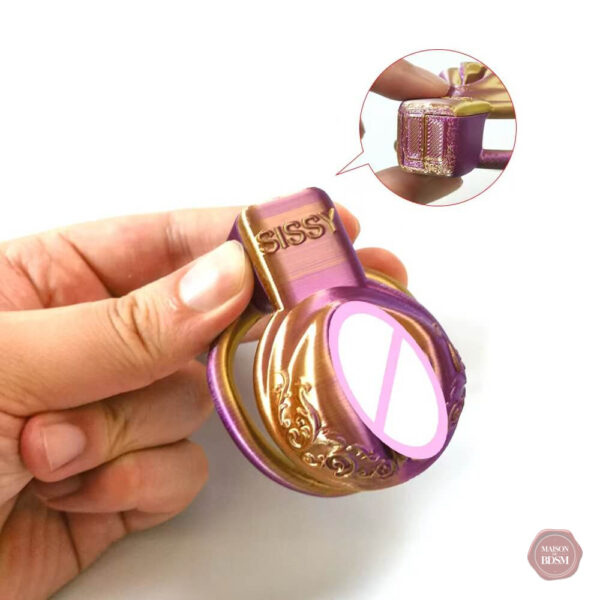 Cage de chasteté conçue pour le plaisir vaginal