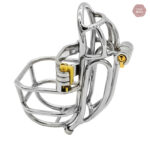 Cage de chasteté détachable en acier inoxydable