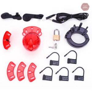 Cage de chasteté design électrisant pour adultes audacieux