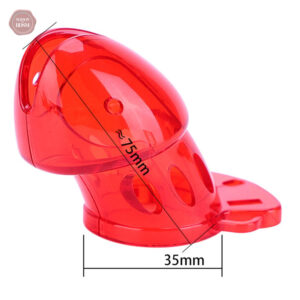 Cage de chasteté électrique, design transparent et ergonomique